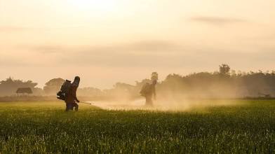 The Problem with American Agriculture: Corruption, Cronyism, and Corporate Control